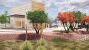 Tolteca Studios drought-tolerant native plant landscaping.